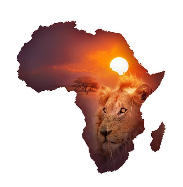 African words of wisdom