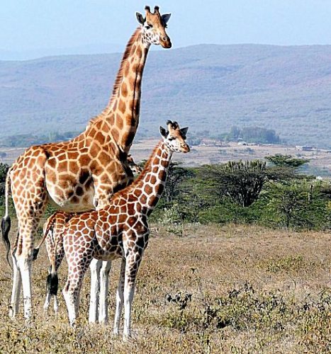 200 Best African Proverbs