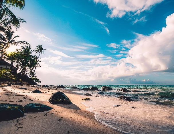 Aphorisms and quotes about beauty