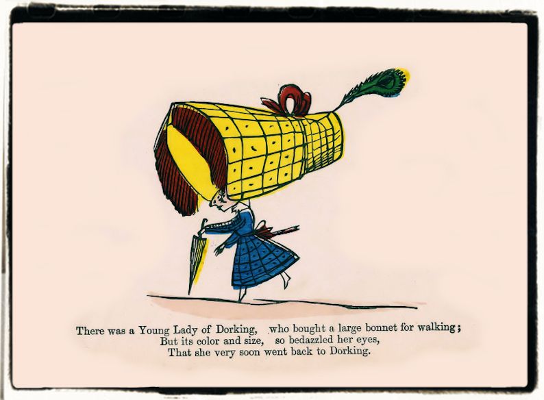 The nonsense limerick book