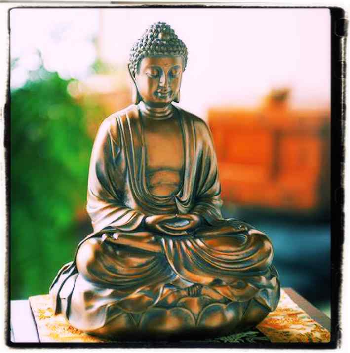 What Buddha Taught us!