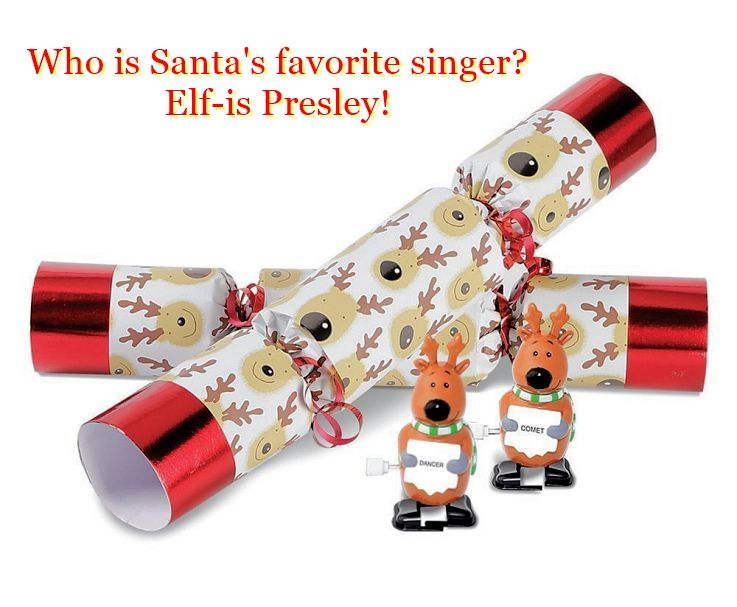 Nice Christmas crackers jokes