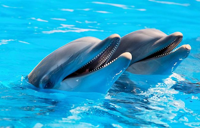 Natural life happiness