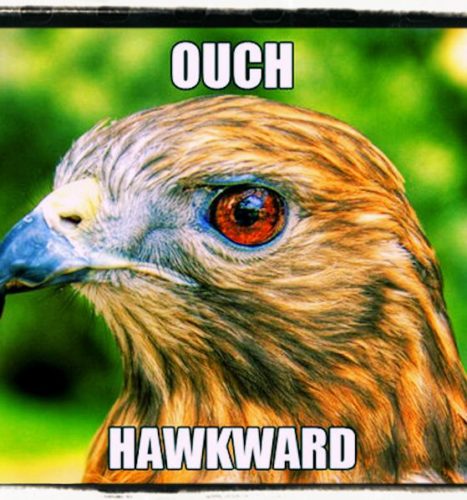 Puns riddles and jokes