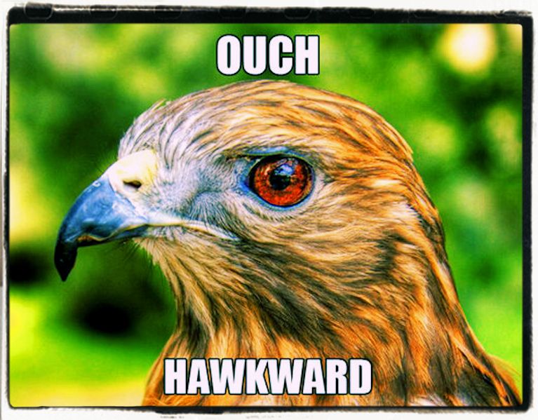 Puns riddles and jokes