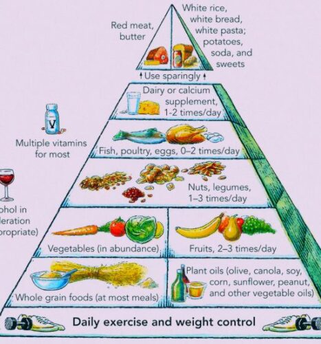 Thoughts, ideas and reflections on food