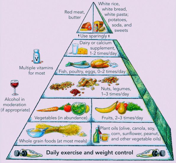 Food pyramid