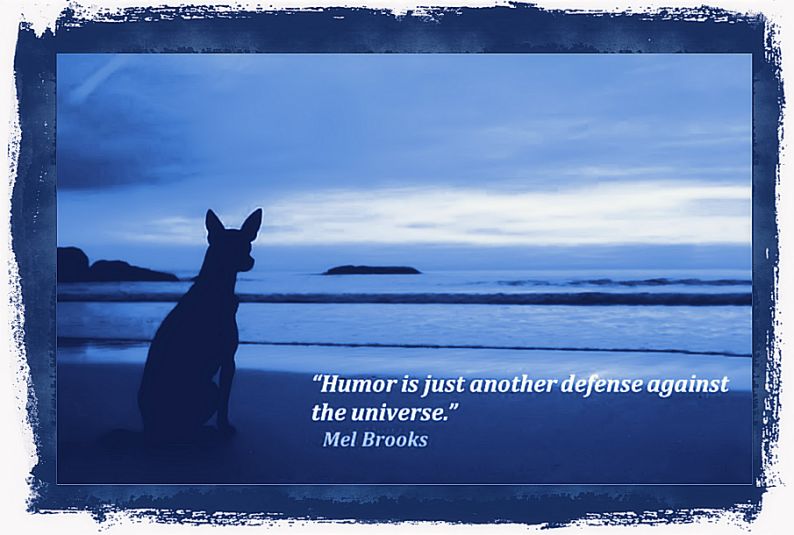 English sense of humour