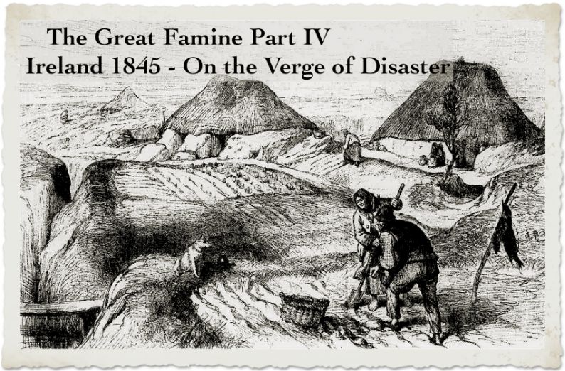 Irish hisotry and character