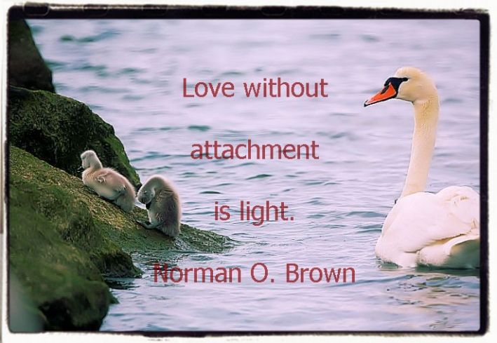 Great aphorisms and quotes on love