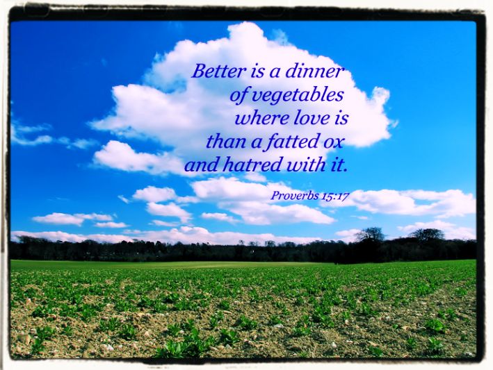 Proverbs on love from the Holy Bible