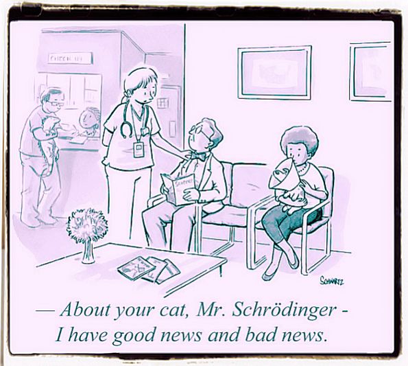 Quantum physics joke