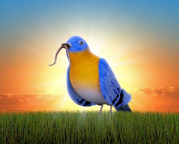 Quotes and ideas on wellness