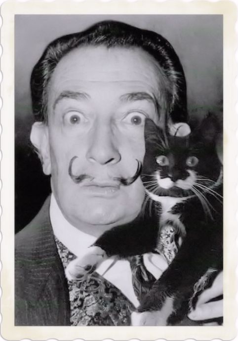 Surrealist quotes and ideas