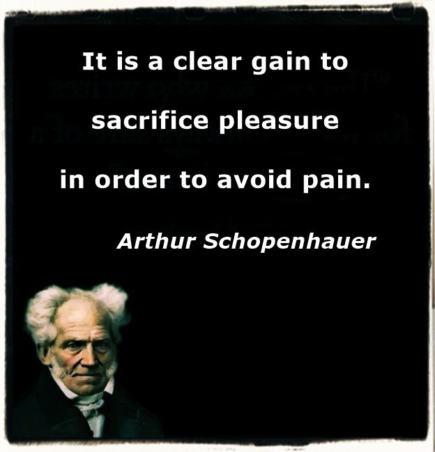 Schopenhauer best aphorisms