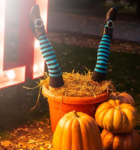 Thanksgiving’s Weirdest Secrets