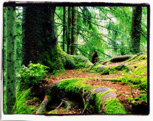 Christmas in Australia