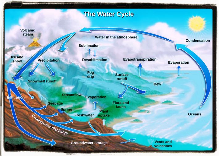 Water Cycle and Weather Forcast